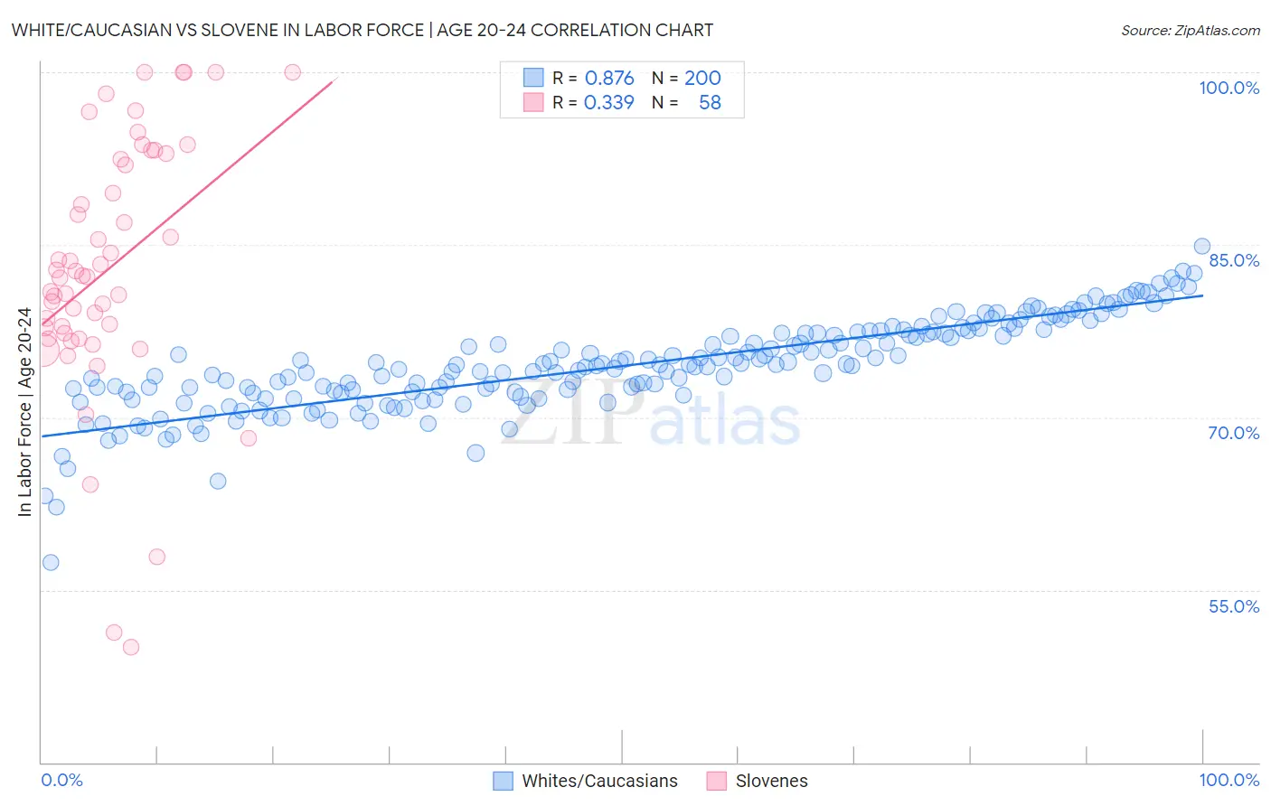 White/Caucasian vs Slovene In Labor Force | Age 20-24