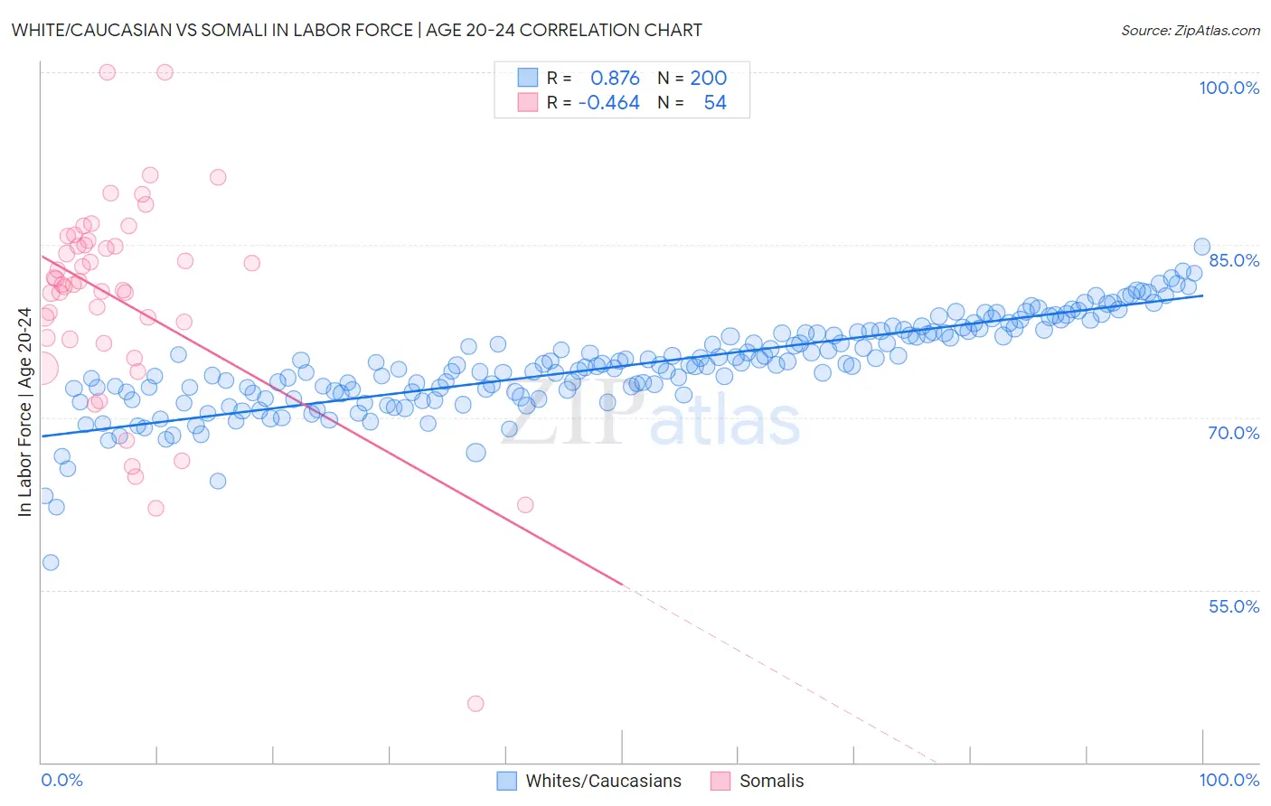 White/Caucasian vs Somali In Labor Force | Age 20-24