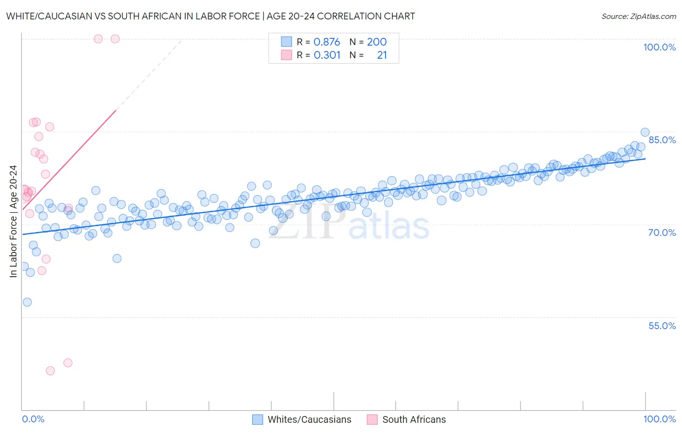 White/Caucasian vs South African In Labor Force | Age 20-24