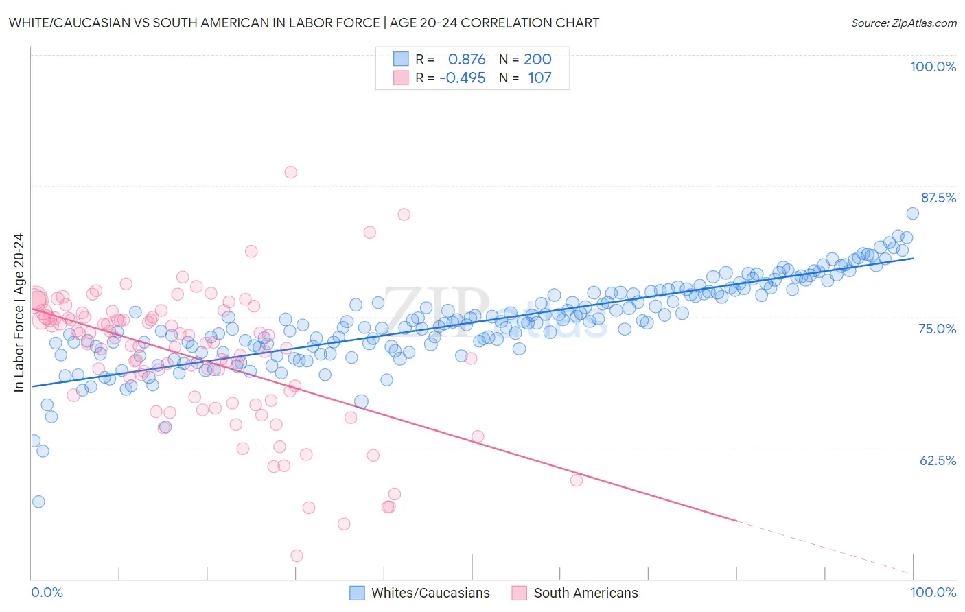 White/Caucasian vs South American In Labor Force | Age 20-24