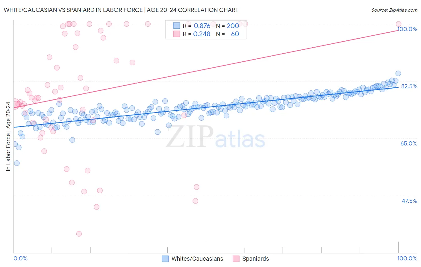 White/Caucasian vs Spaniard In Labor Force | Age 20-24