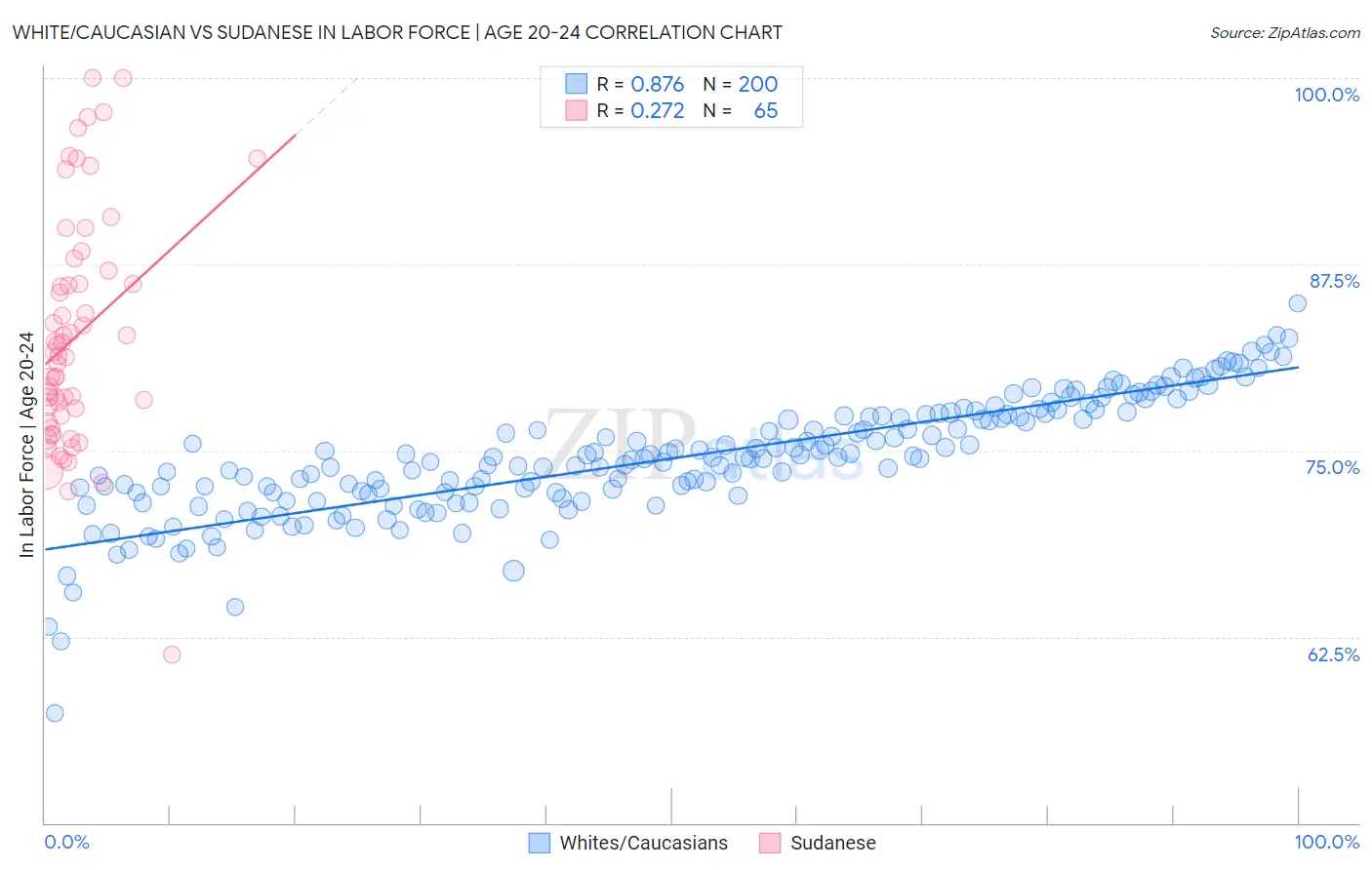 White/Caucasian vs Sudanese In Labor Force | Age 20-24