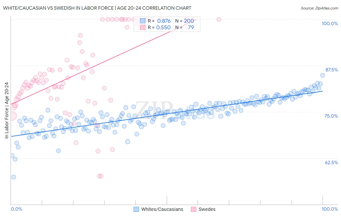 White/Caucasian vs Swedish In Labor Force | Age 20-24