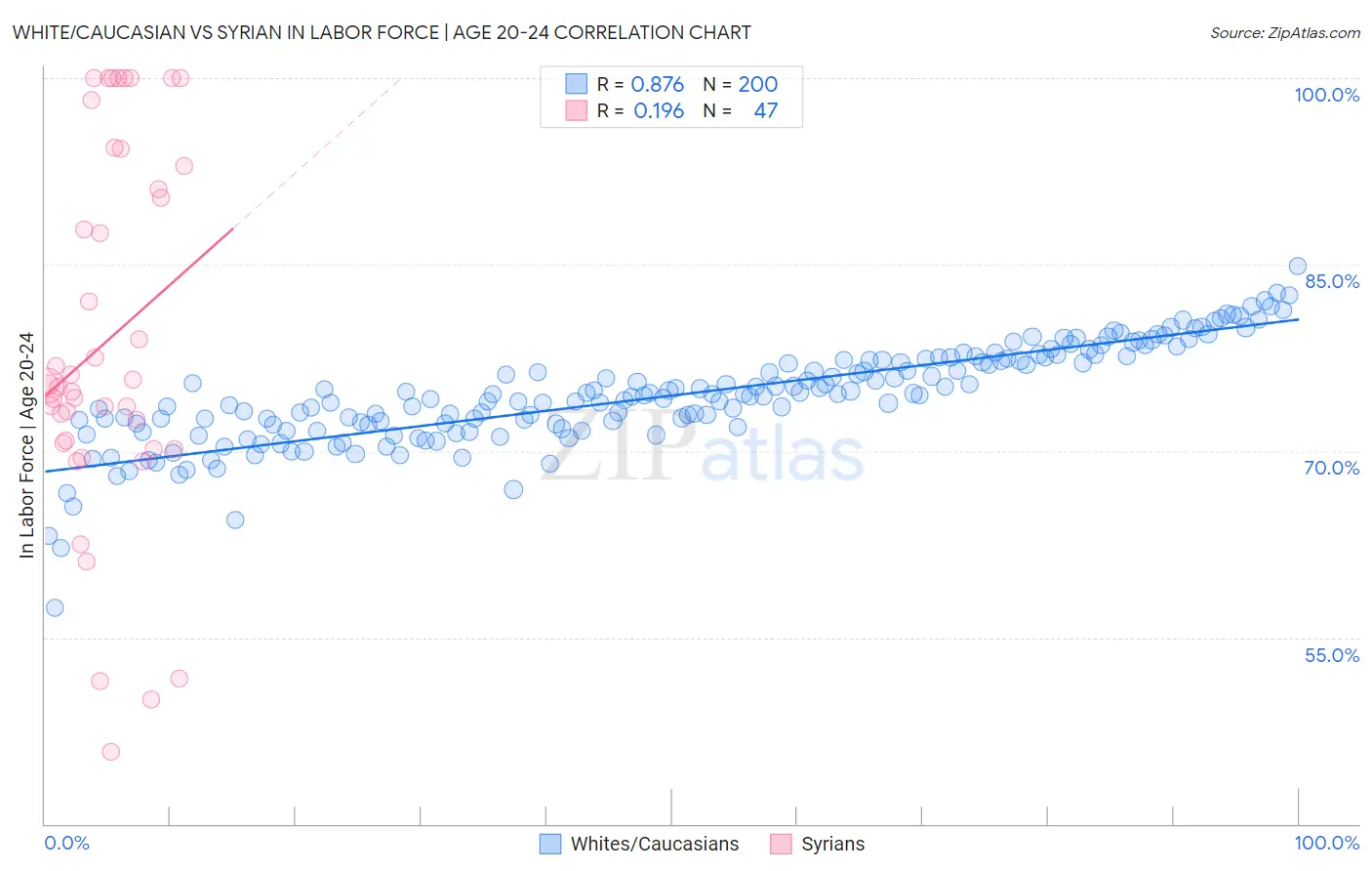 White/Caucasian vs Syrian In Labor Force | Age 20-24