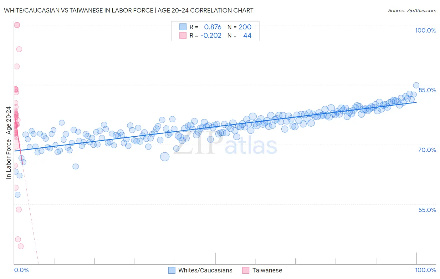 White/Caucasian vs Taiwanese In Labor Force | Age 20-24