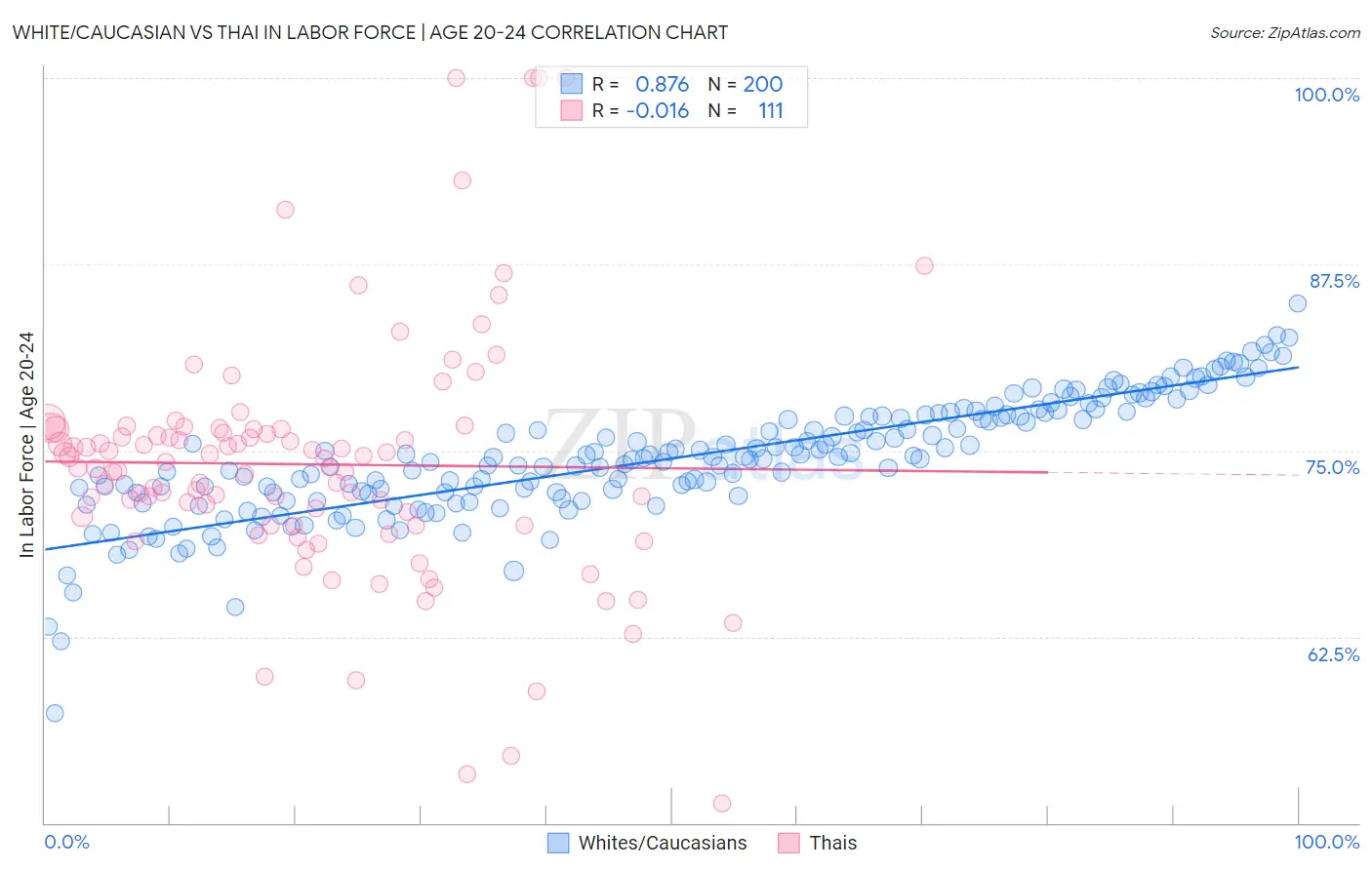 White/Caucasian vs Thai In Labor Force | Age 20-24