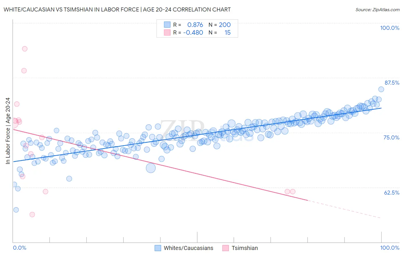 White/Caucasian vs Tsimshian In Labor Force | Age 20-24