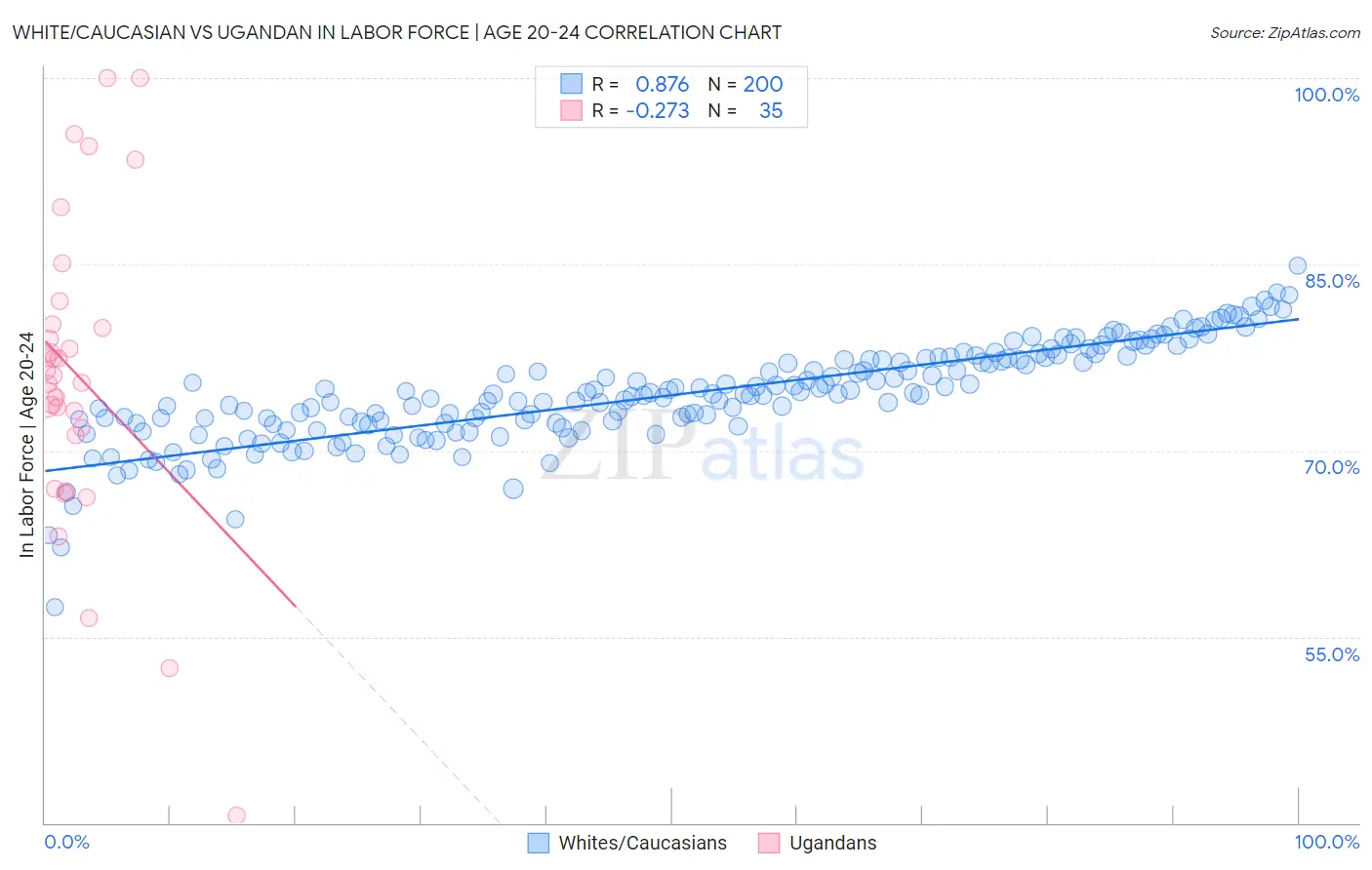 White/Caucasian vs Ugandan In Labor Force | Age 20-24