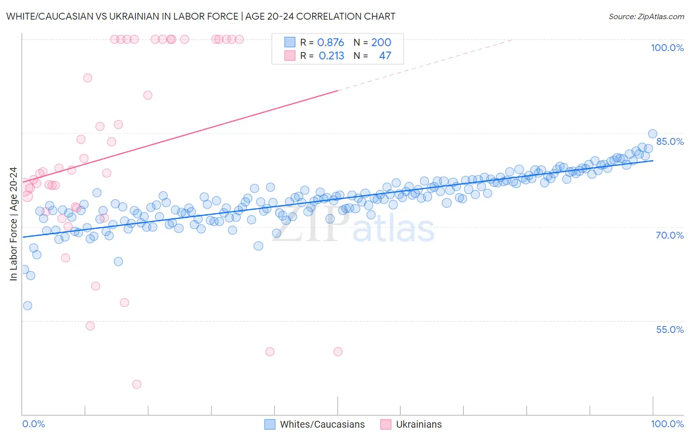 White/Caucasian vs Ukrainian In Labor Force | Age 20-24