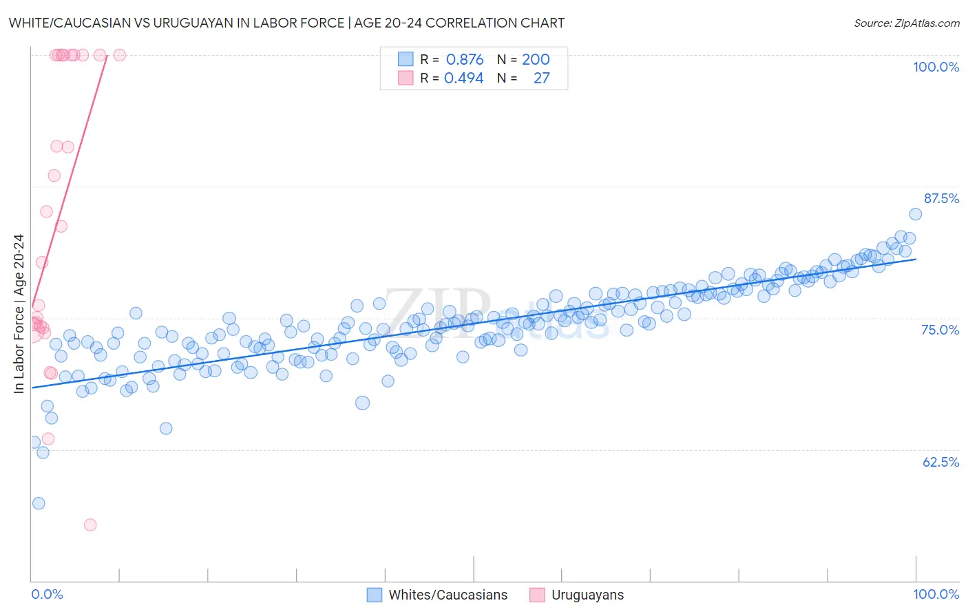 White/Caucasian vs Uruguayan In Labor Force | Age 20-24