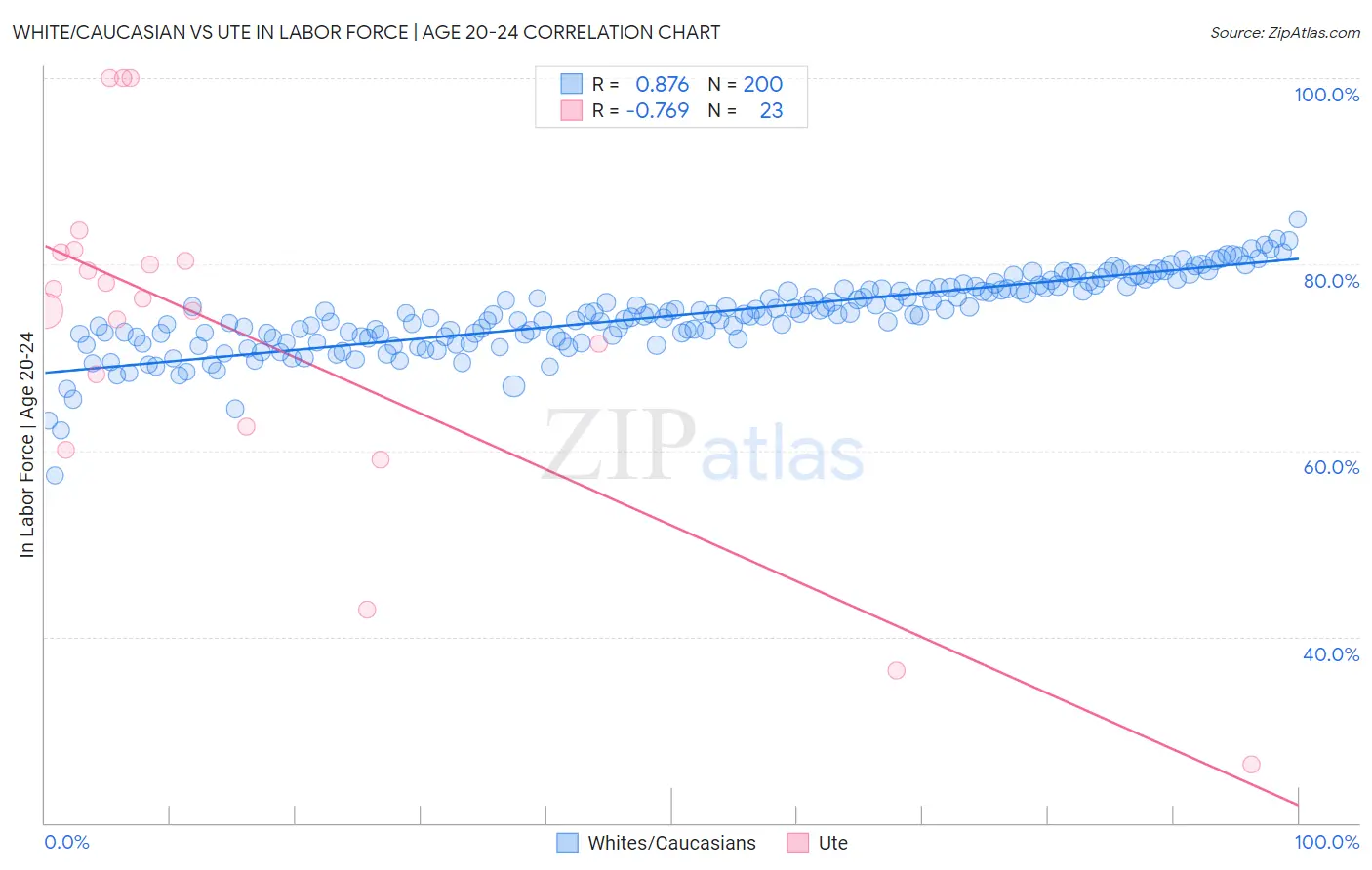White/Caucasian vs Ute In Labor Force | Age 20-24