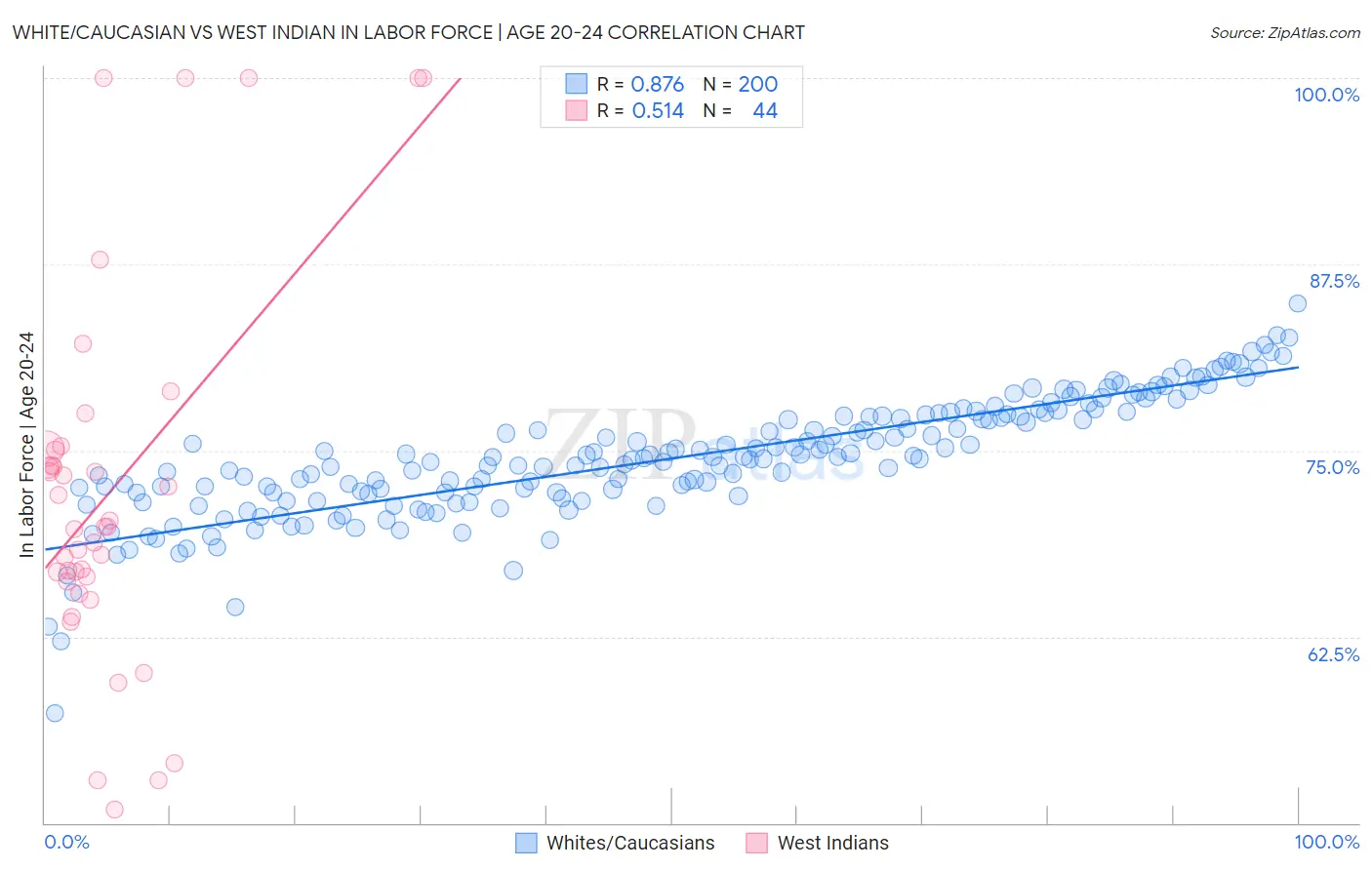 White/Caucasian vs West Indian In Labor Force | Age 20-24