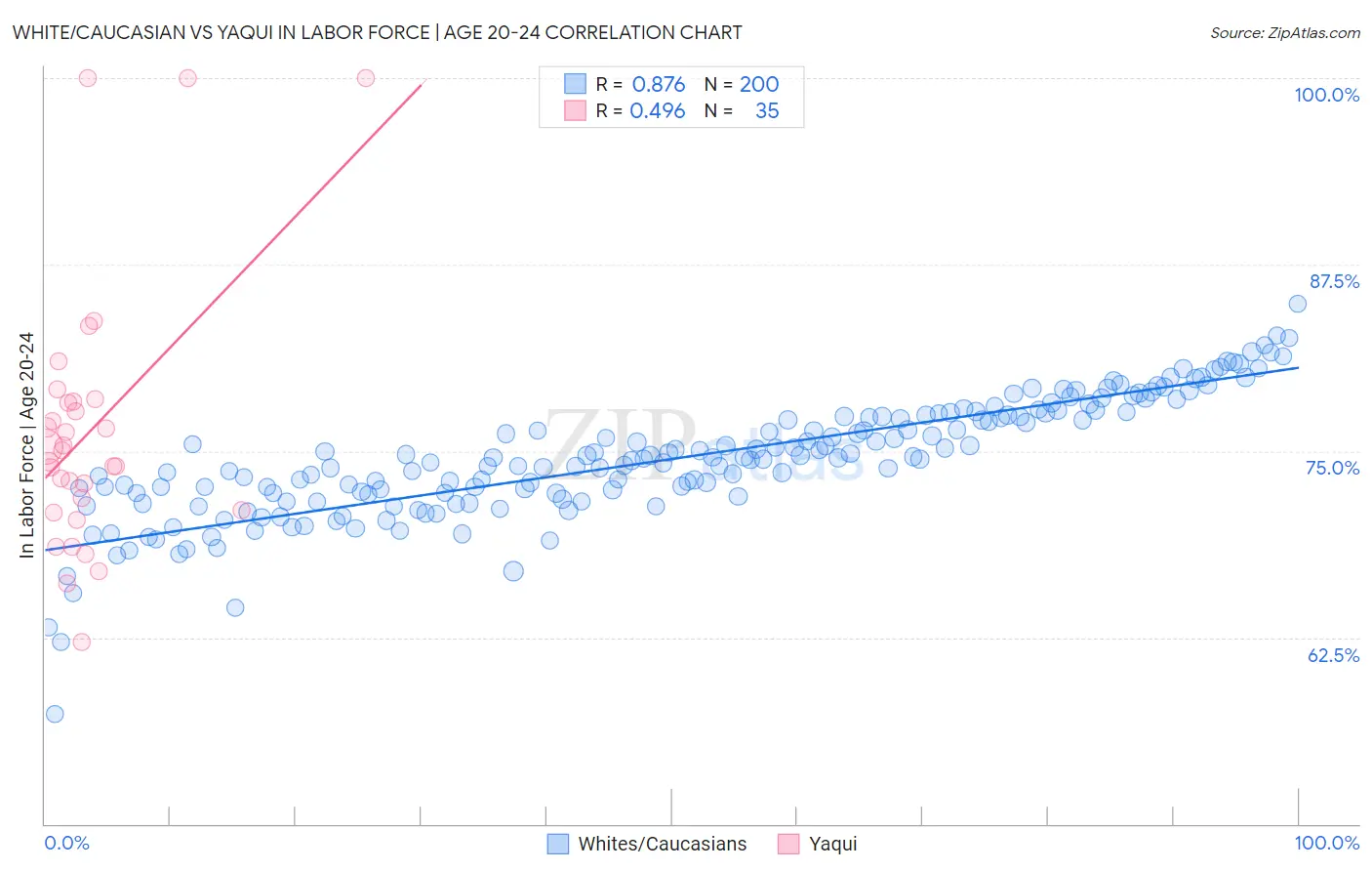 White/Caucasian vs Yaqui In Labor Force | Age 20-24
