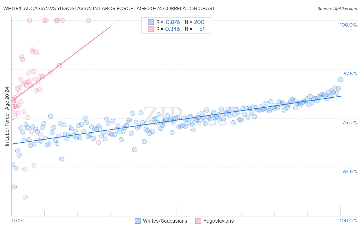 White/Caucasian vs Yugoslavian In Labor Force | Age 20-24