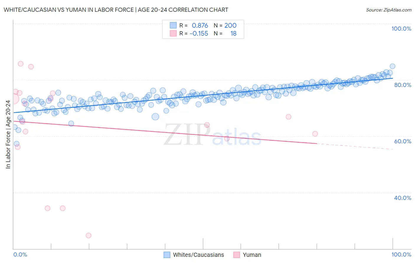 White/Caucasian vs Yuman In Labor Force | Age 20-24