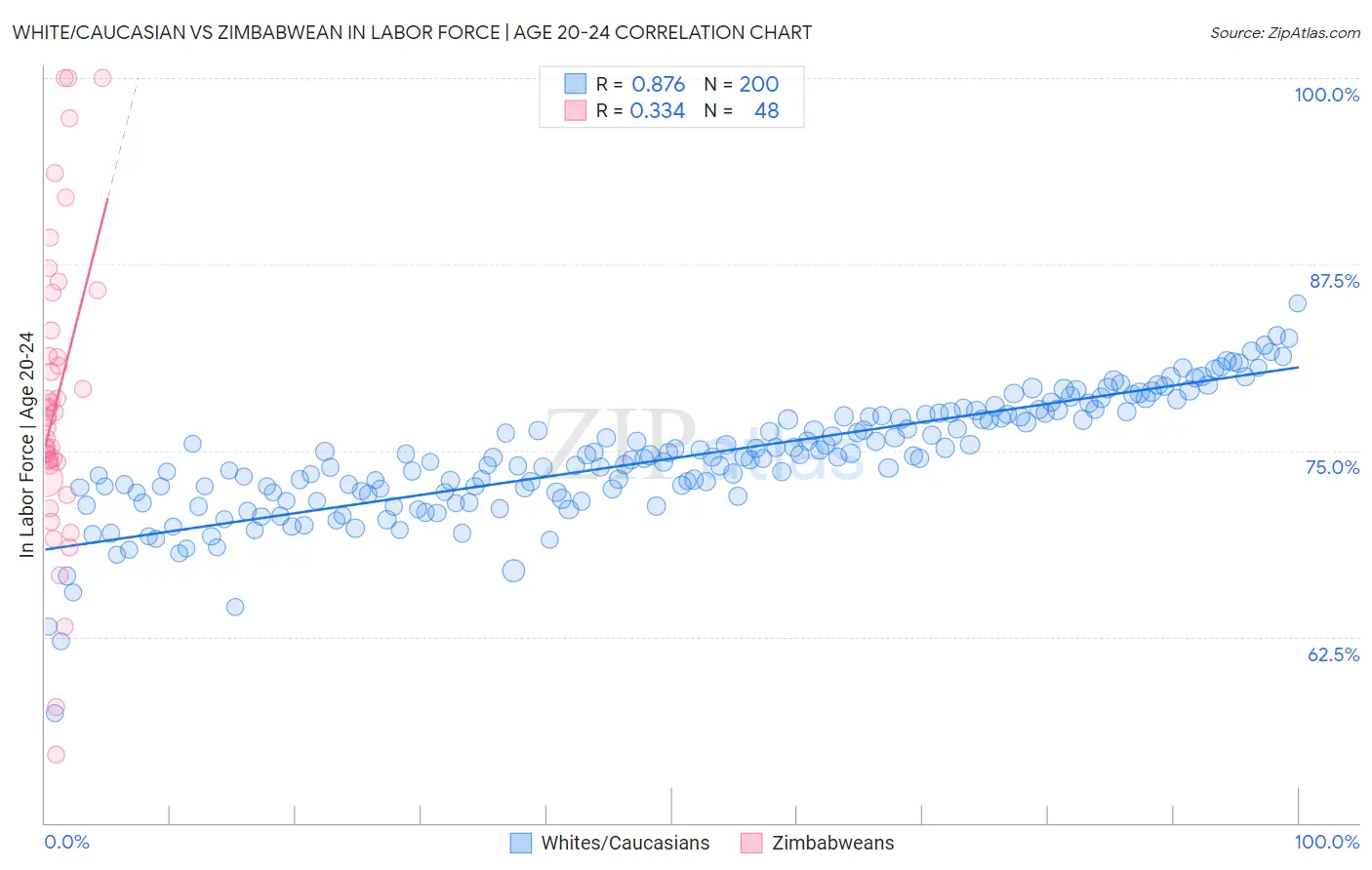 White/Caucasian vs Zimbabwean In Labor Force | Age 20-24