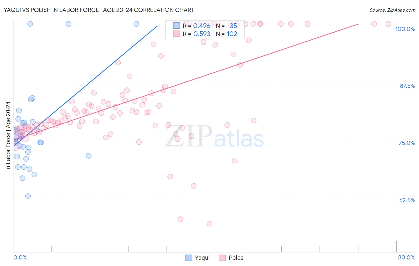 Yaqui vs Polish In Labor Force | Age 20-24