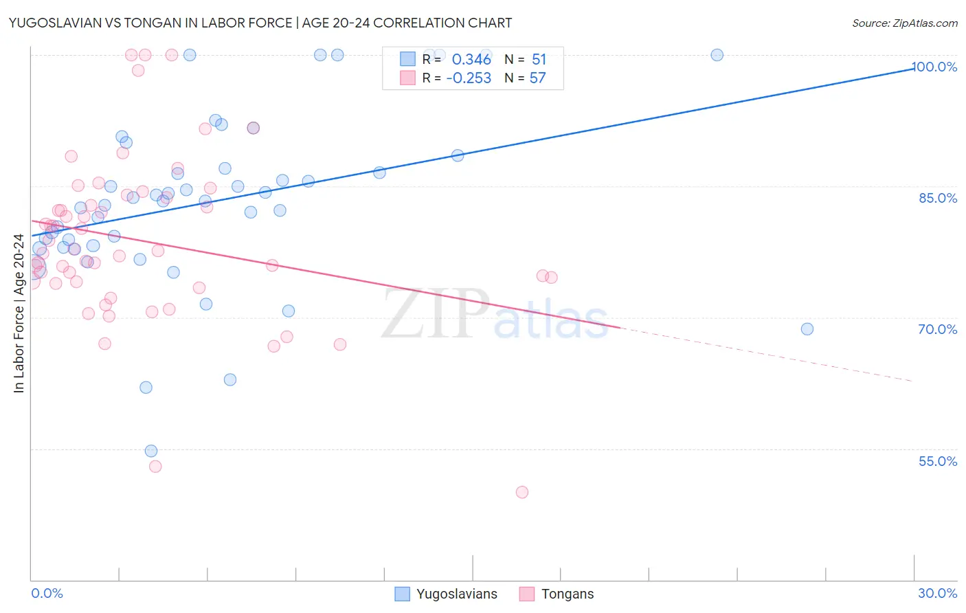 Yugoslavian vs Tongan In Labor Force | Age 20-24