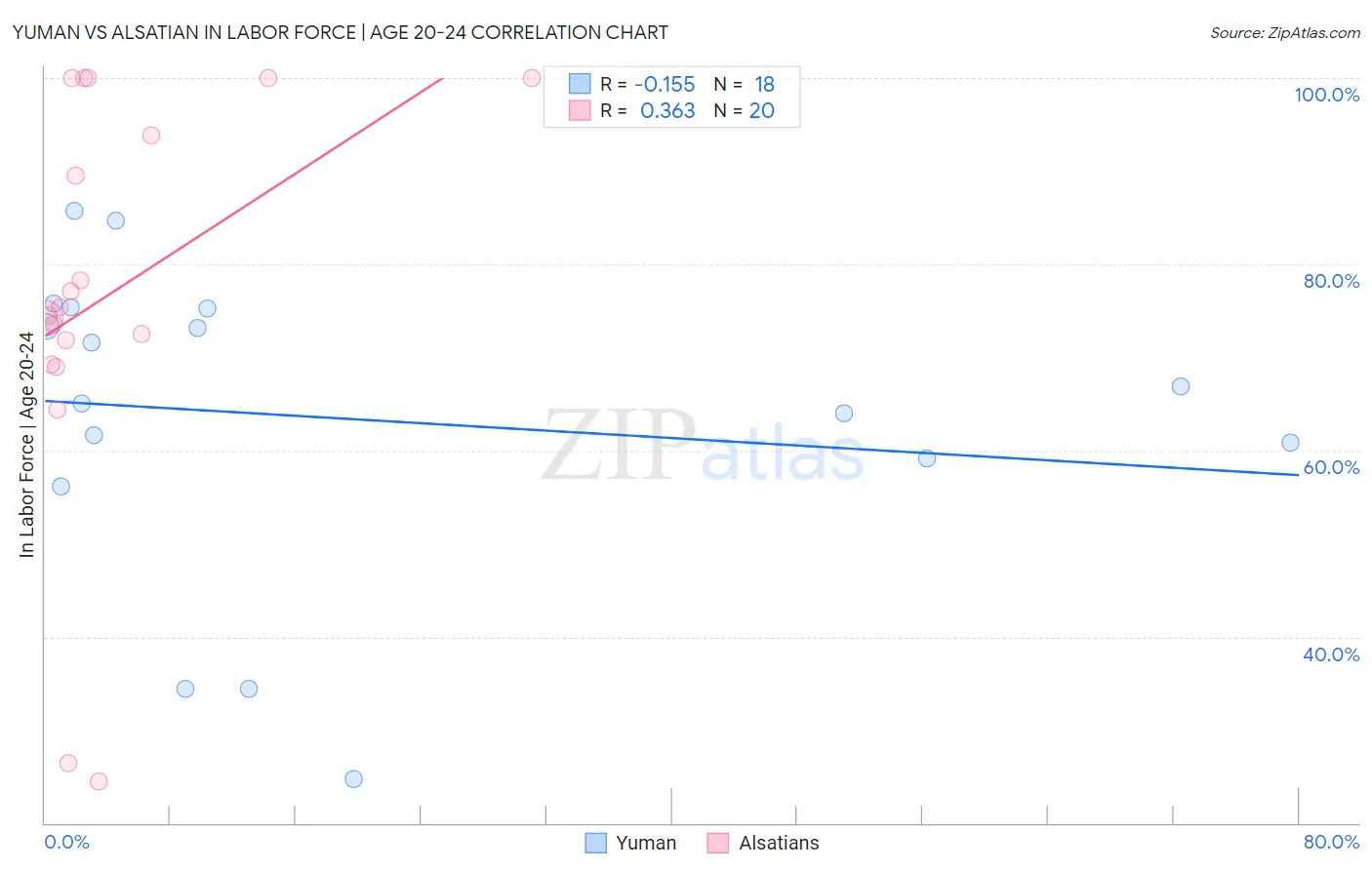 Yuman vs Alsatian In Labor Force | Age 20-24