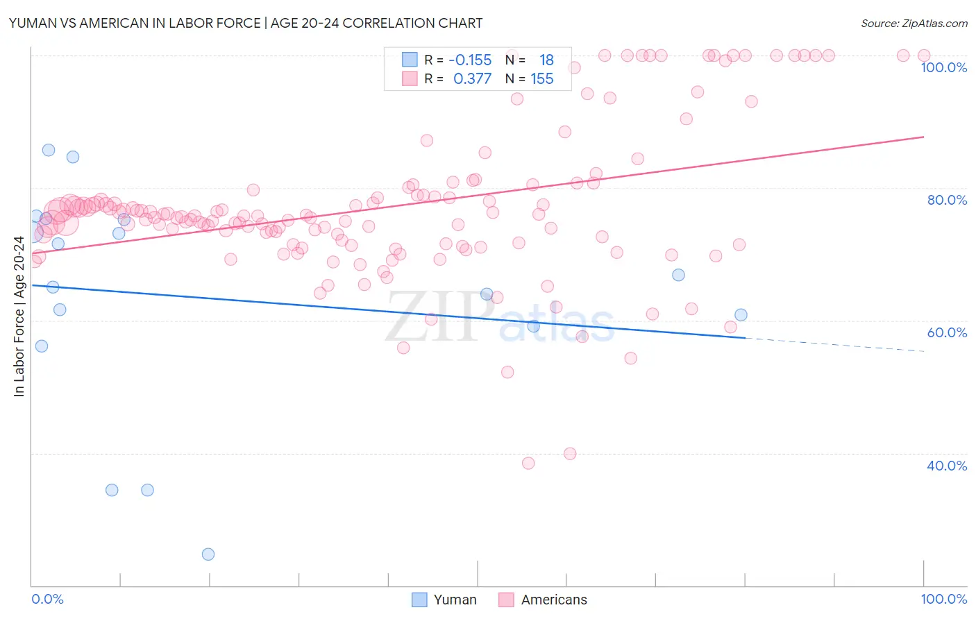 Yuman vs American In Labor Force | Age 20-24