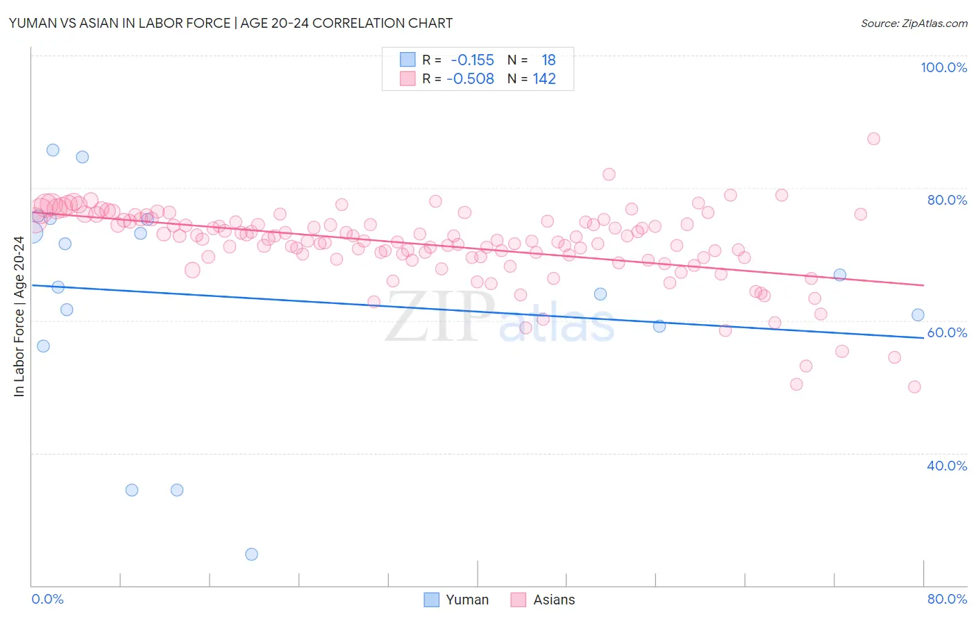 Yuman vs Asian In Labor Force | Age 20-24