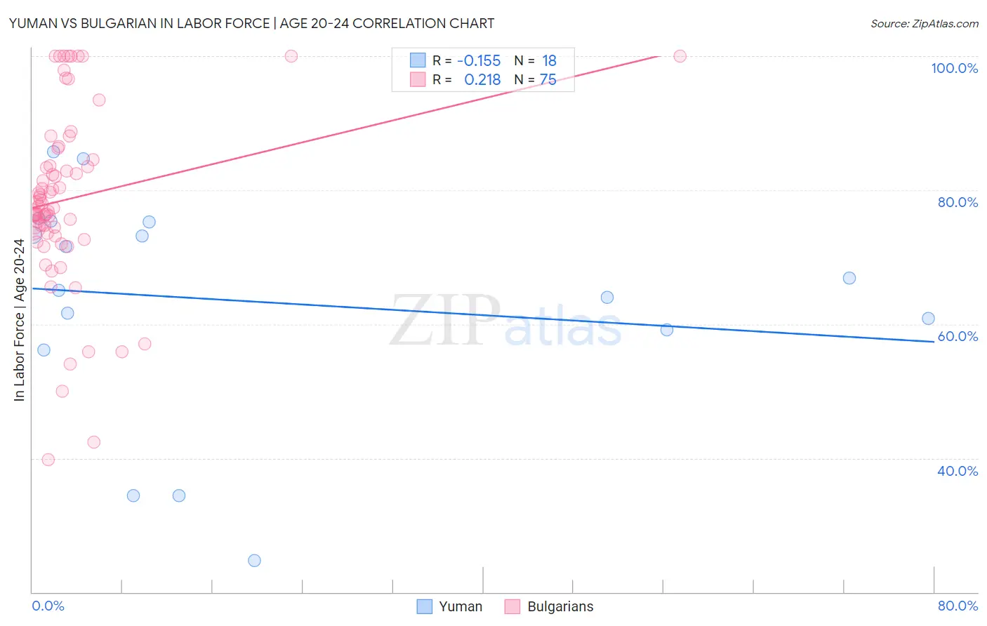 Yuman vs Bulgarian In Labor Force | Age 20-24