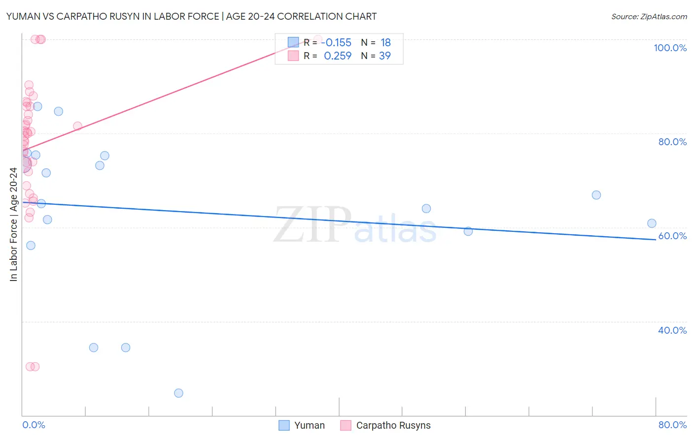 Yuman vs Carpatho Rusyn In Labor Force | Age 20-24