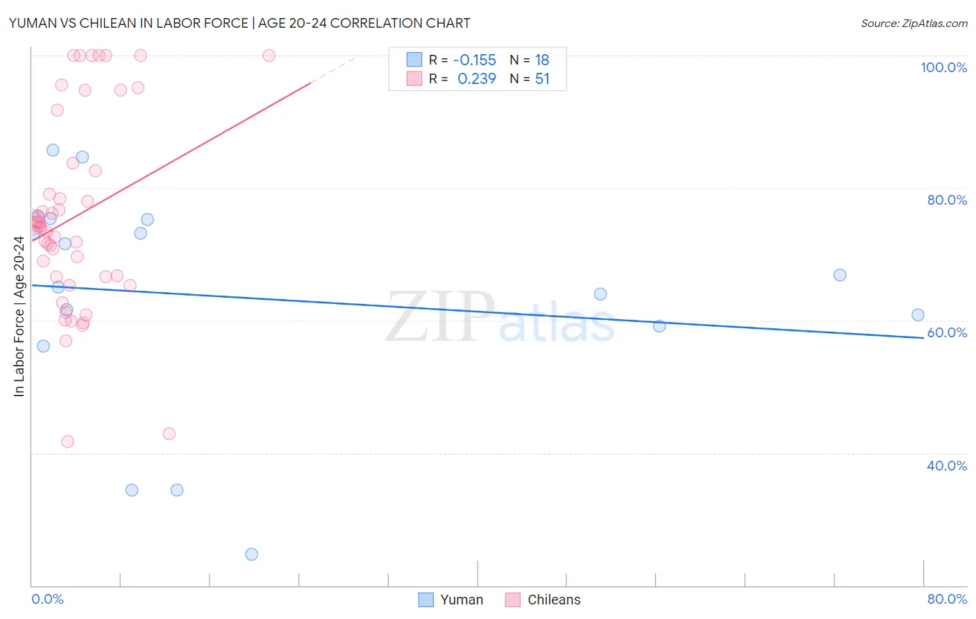 Yuman vs Chilean In Labor Force | Age 20-24