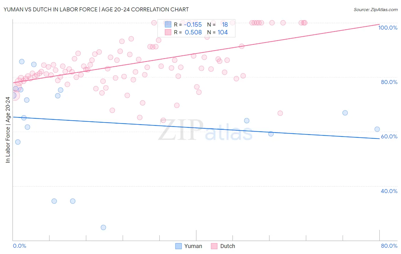 Yuman vs Dutch In Labor Force | Age 20-24