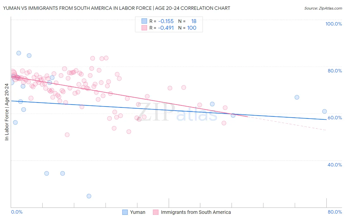Yuman vs Immigrants from South America In Labor Force | Age 20-24