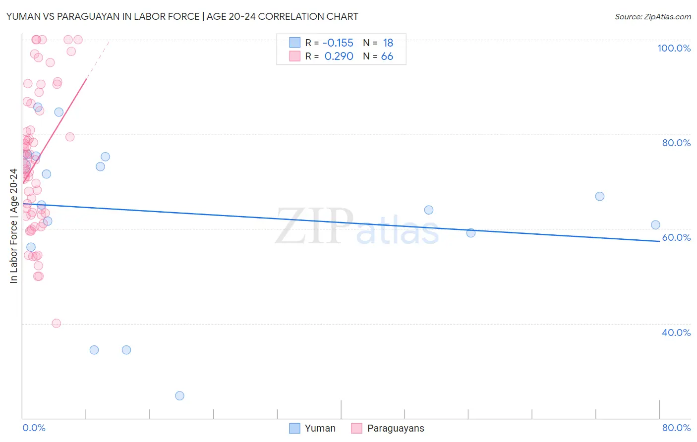 Yuman vs Paraguayan In Labor Force | Age 20-24