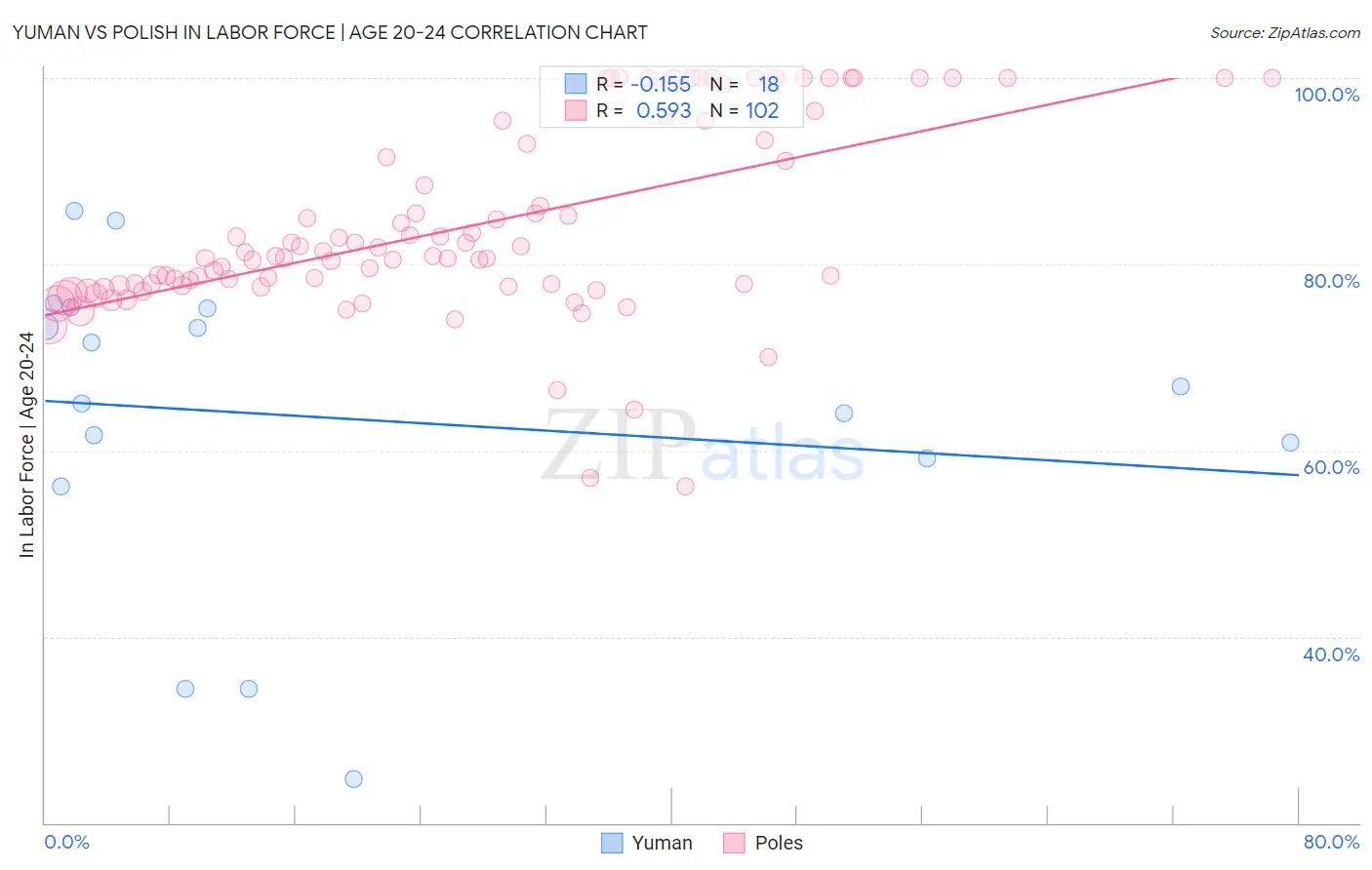 Yuman vs Polish In Labor Force | Age 20-24