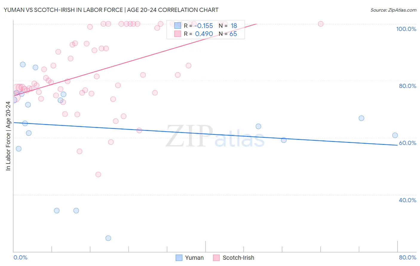 Yuman vs Scotch-Irish In Labor Force | Age 20-24
