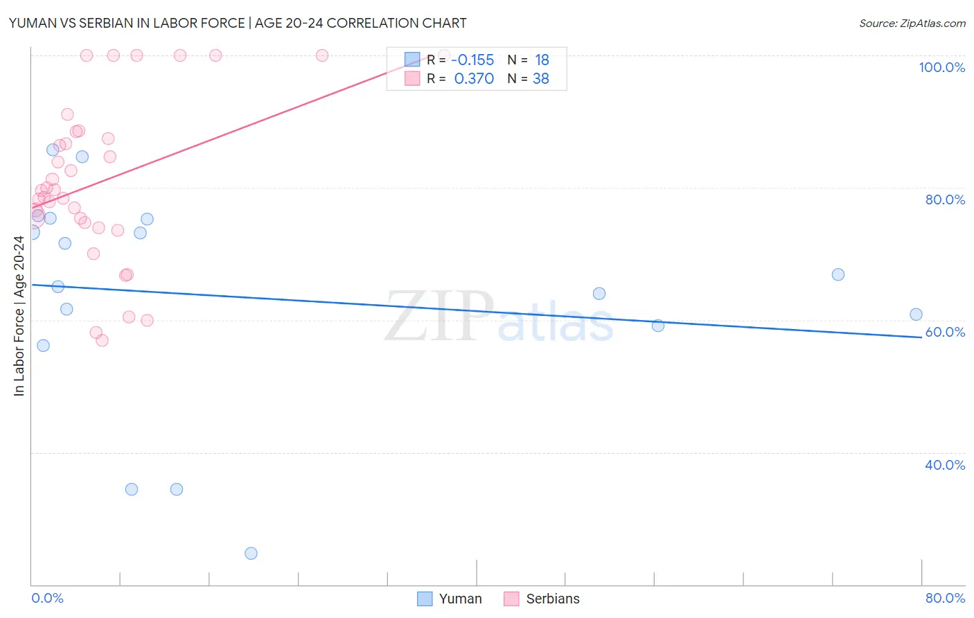 Yuman vs Serbian In Labor Force | Age 20-24
