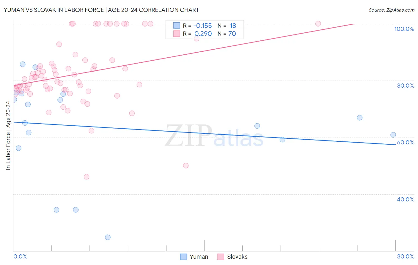 Yuman vs Slovak In Labor Force | Age 20-24