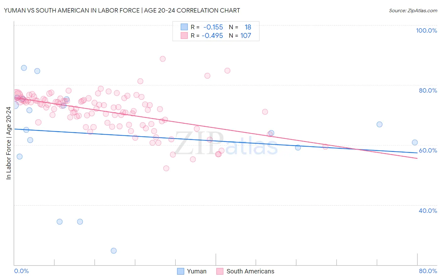 Yuman vs South American In Labor Force | Age 20-24