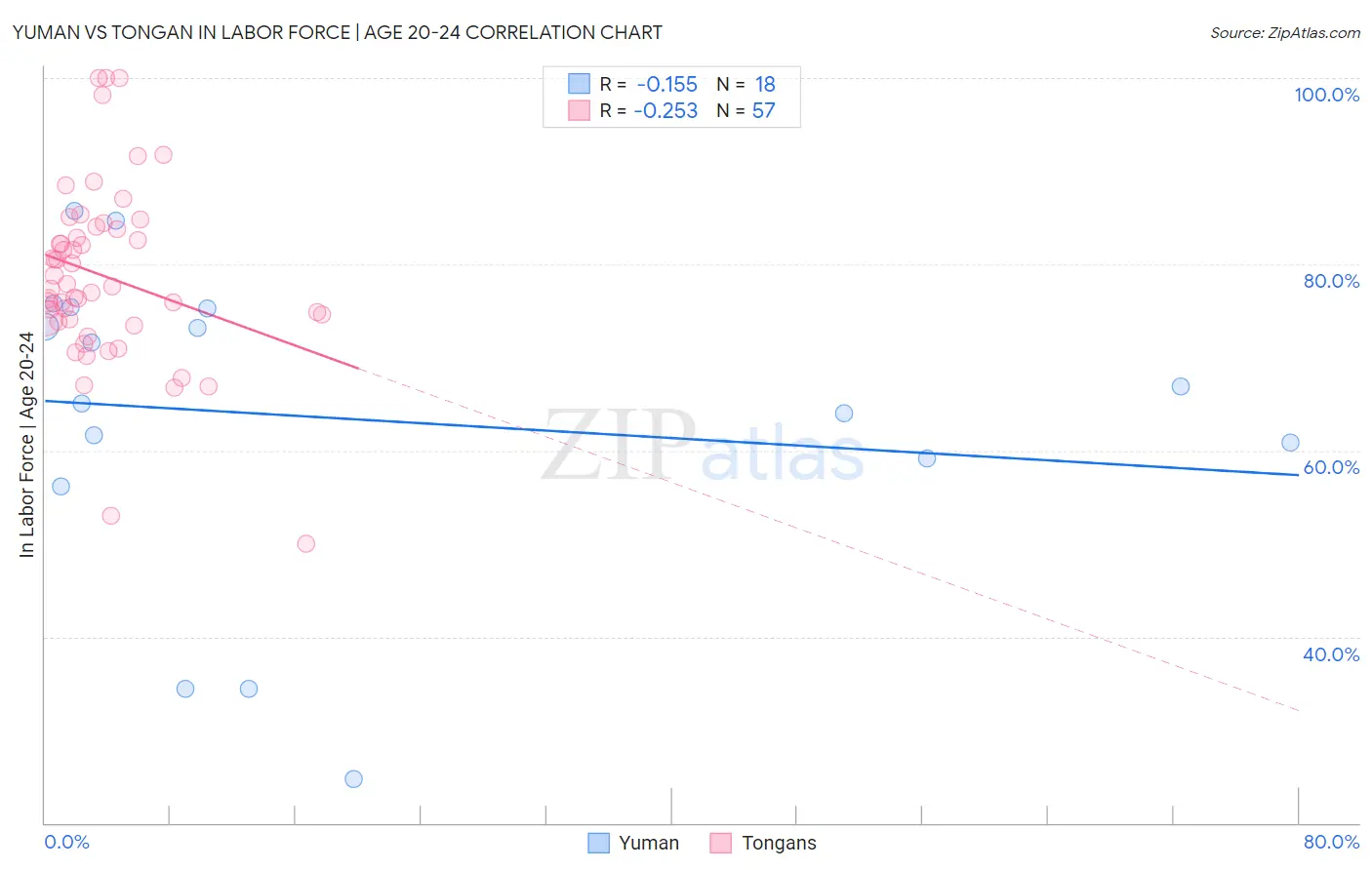 Yuman vs Tongan In Labor Force | Age 20-24