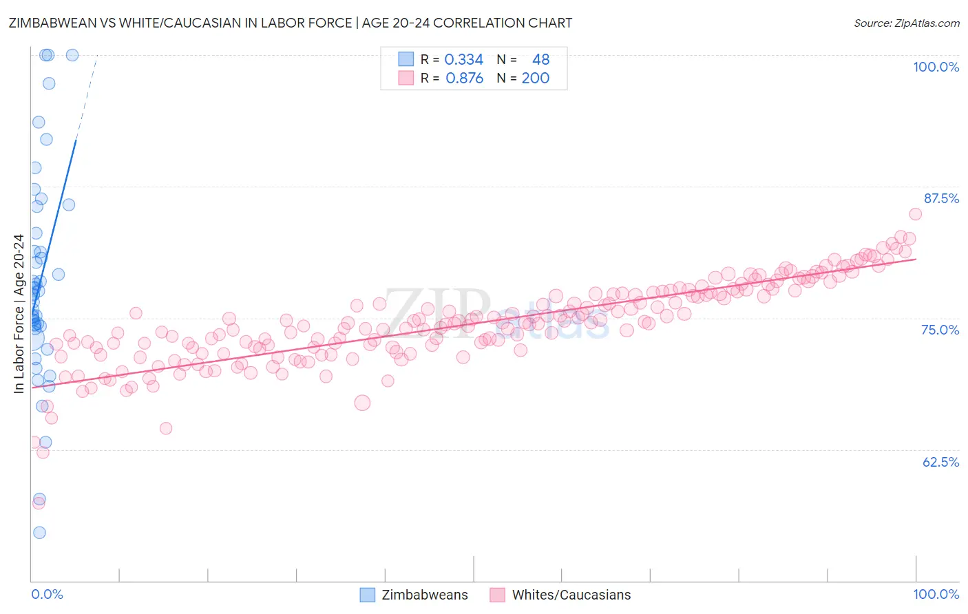 Zimbabwean vs White/Caucasian In Labor Force | Age 20-24