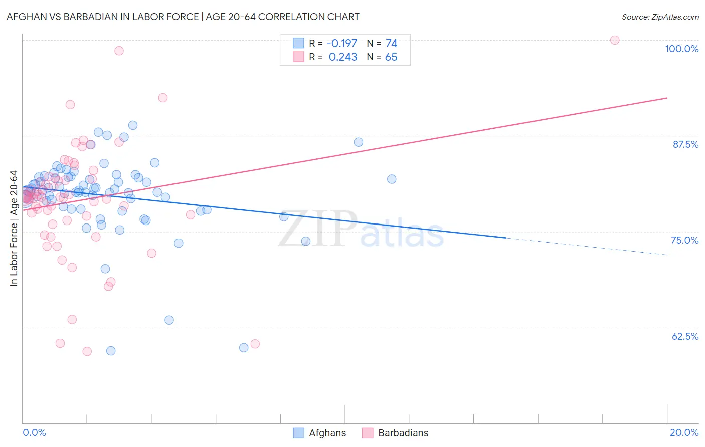 Afghan vs Barbadian In Labor Force | Age 20-64