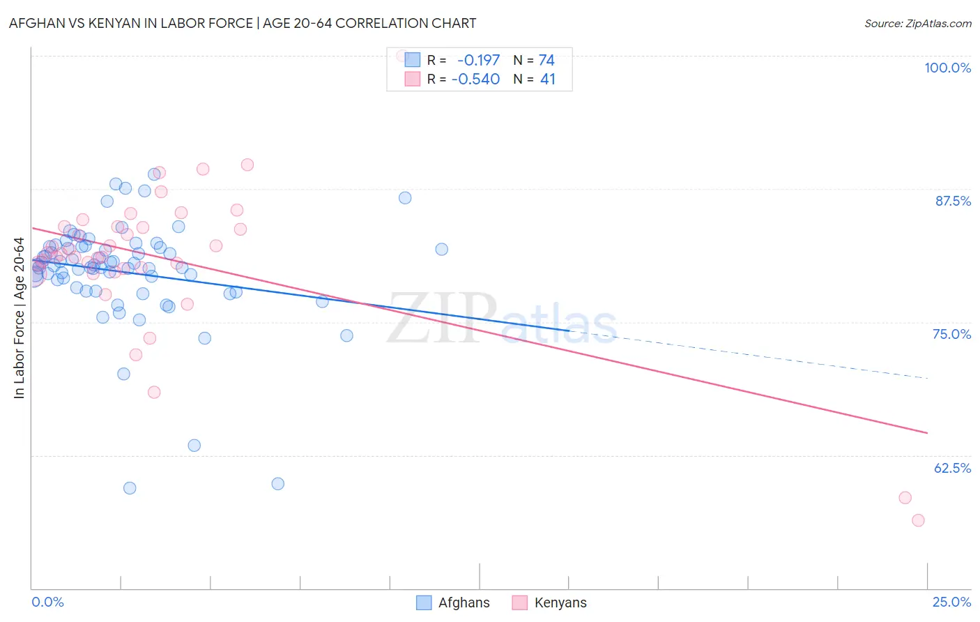 Afghan vs Kenyan In Labor Force | Age 20-64