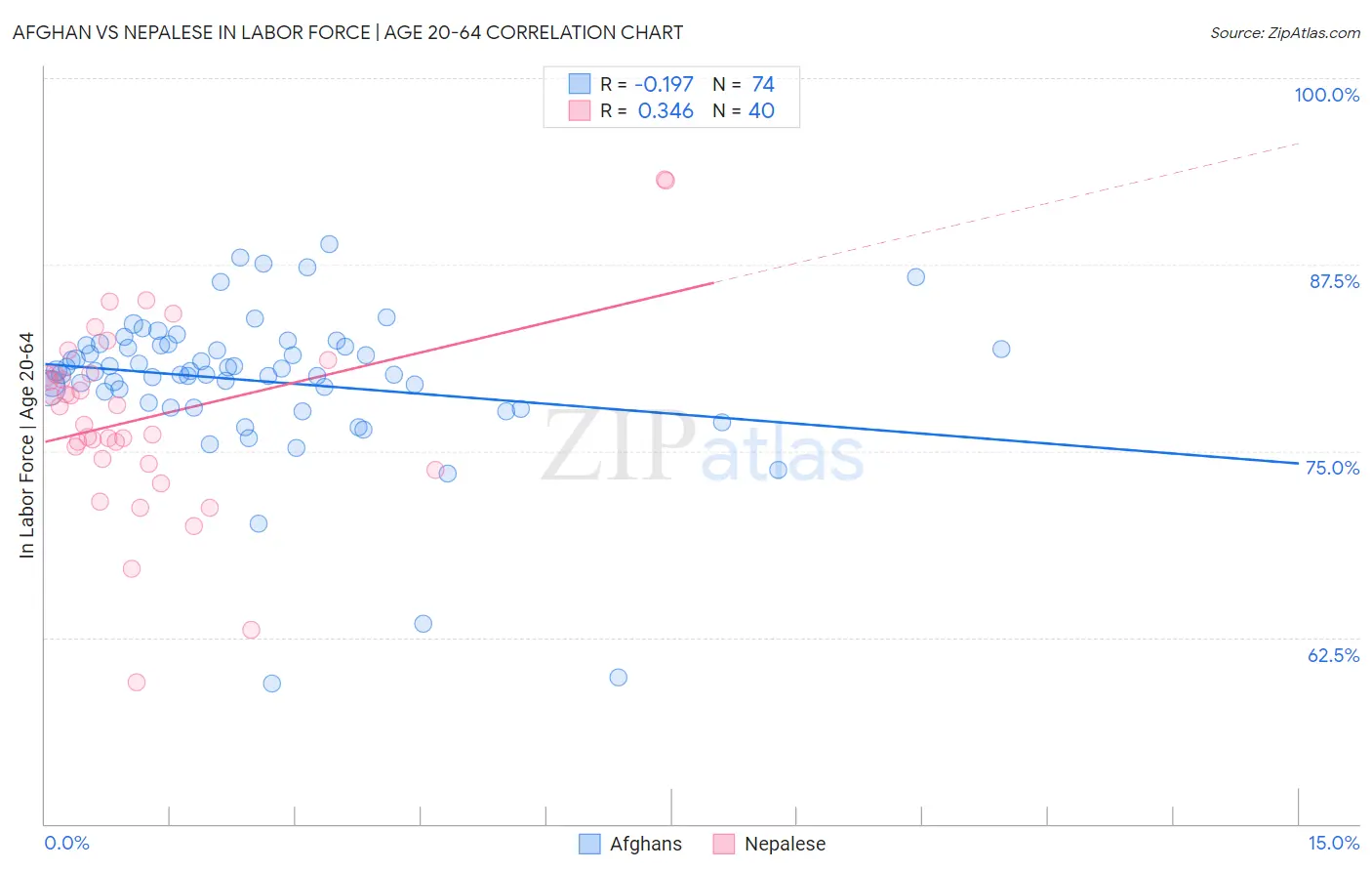 Afghan vs Nepalese In Labor Force | Age 20-64