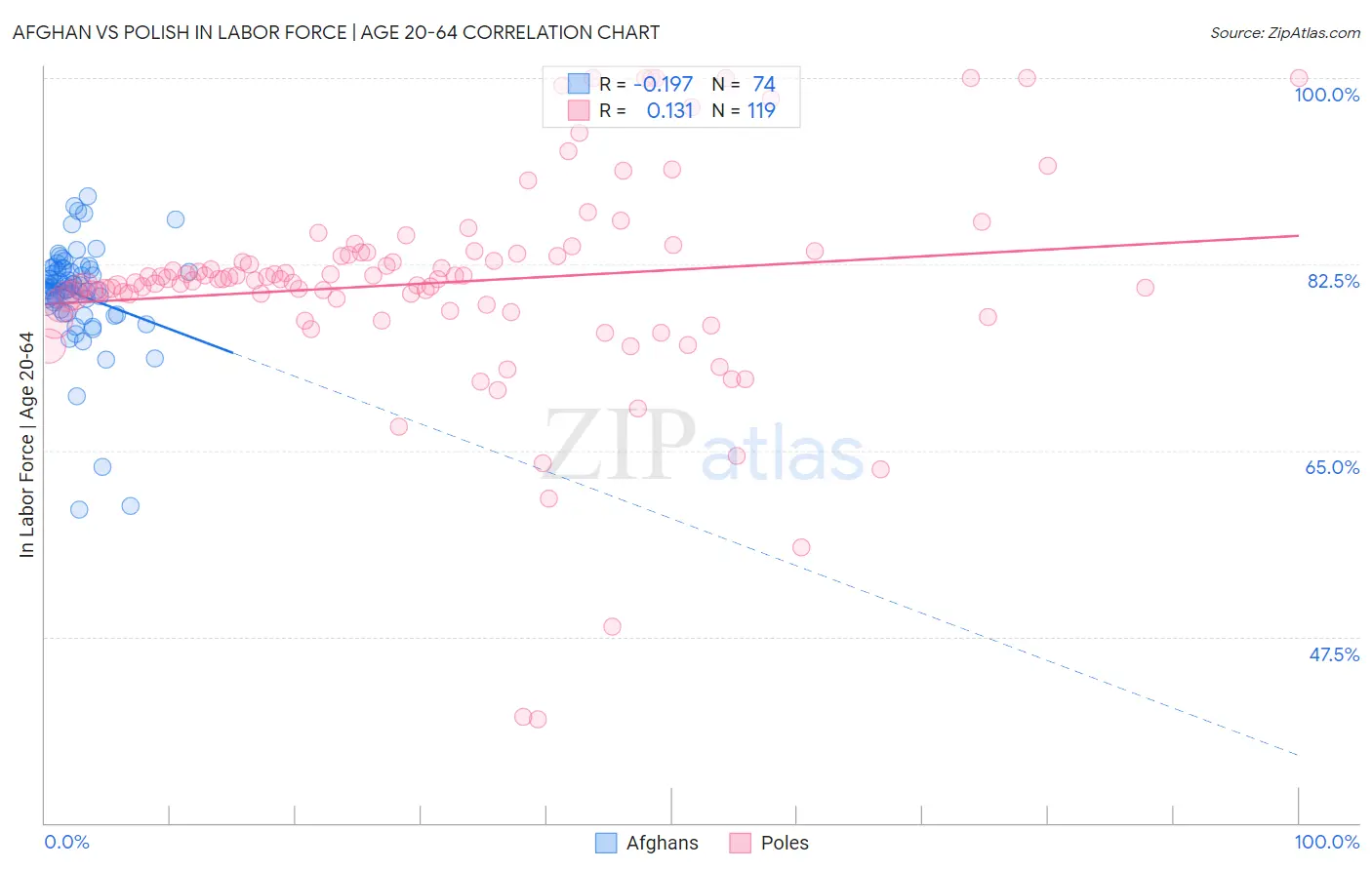 Afghan vs Polish In Labor Force | Age 20-64