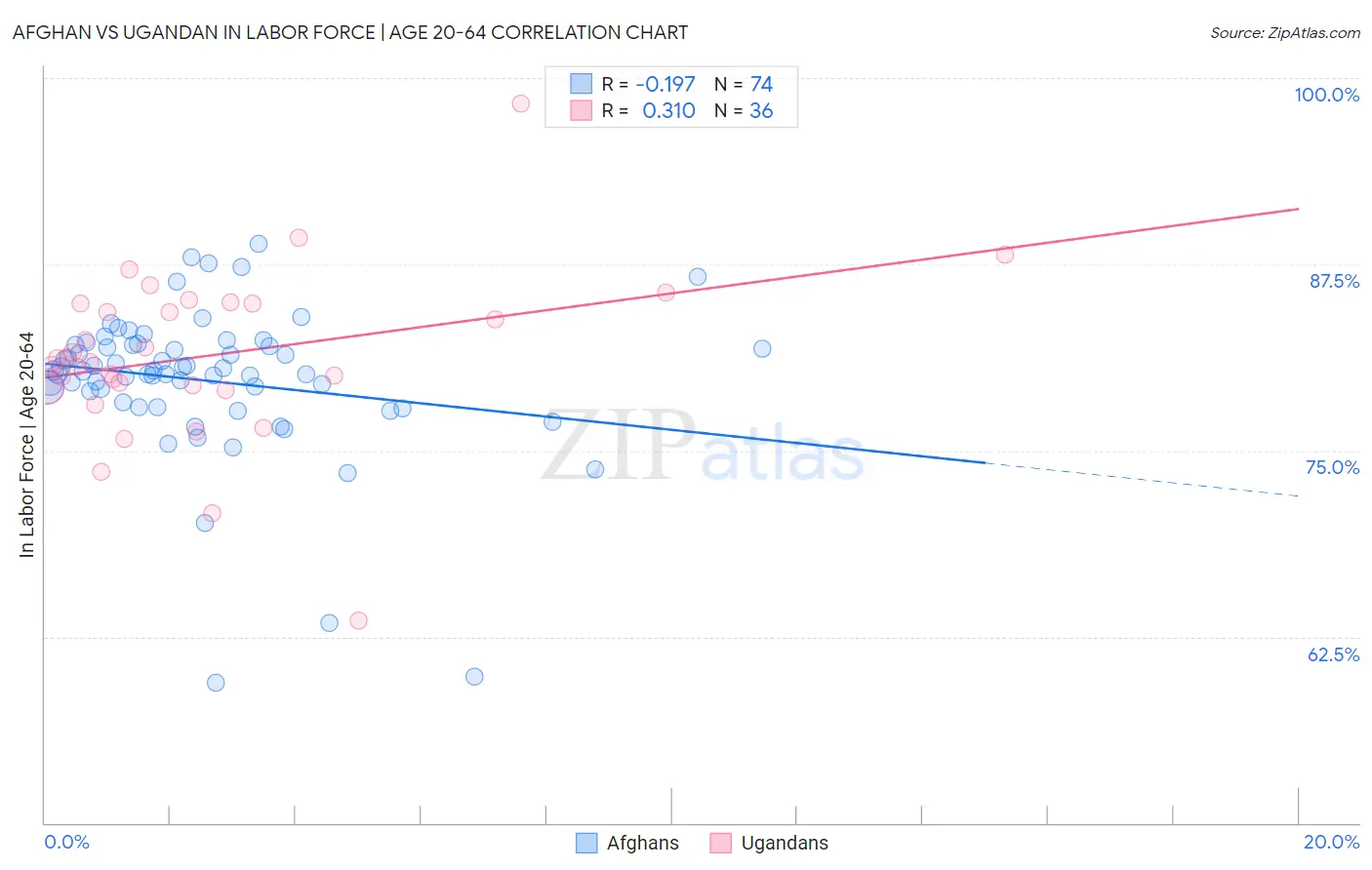 Afghan vs Ugandan In Labor Force | Age 20-64