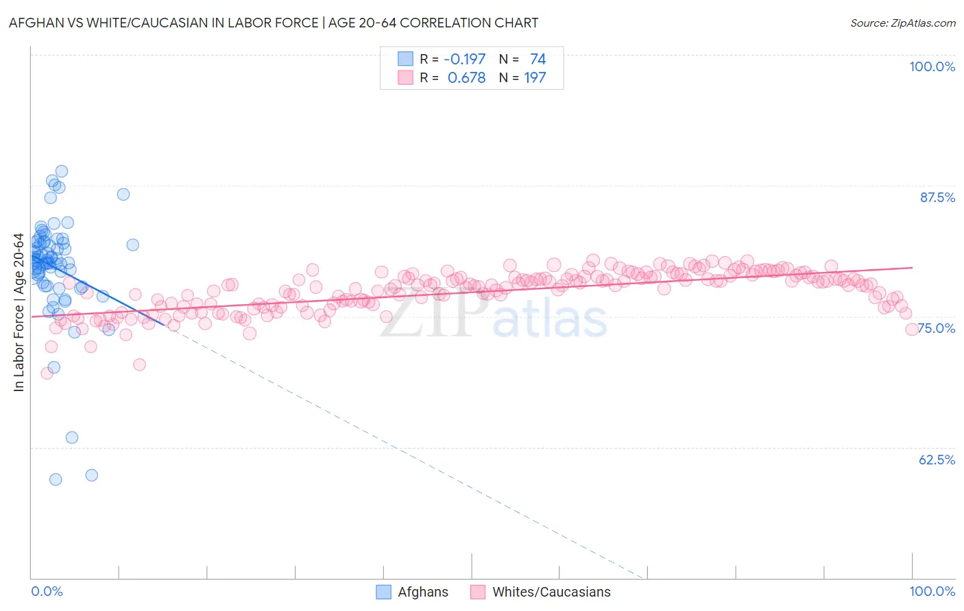 Afghan vs White/Caucasian In Labor Force | Age 20-64