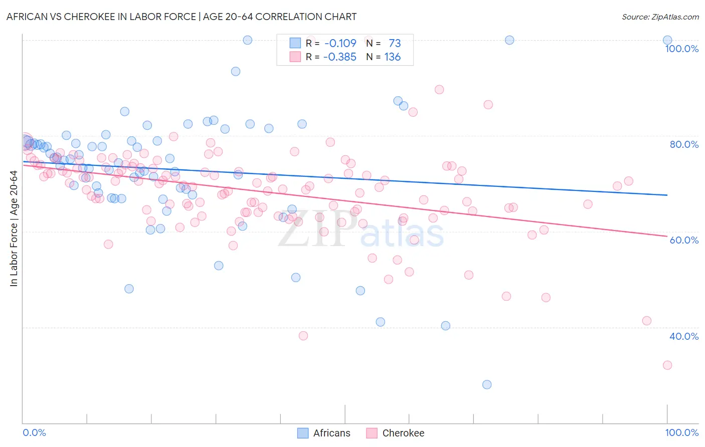 African vs Cherokee In Labor Force | Age 20-64