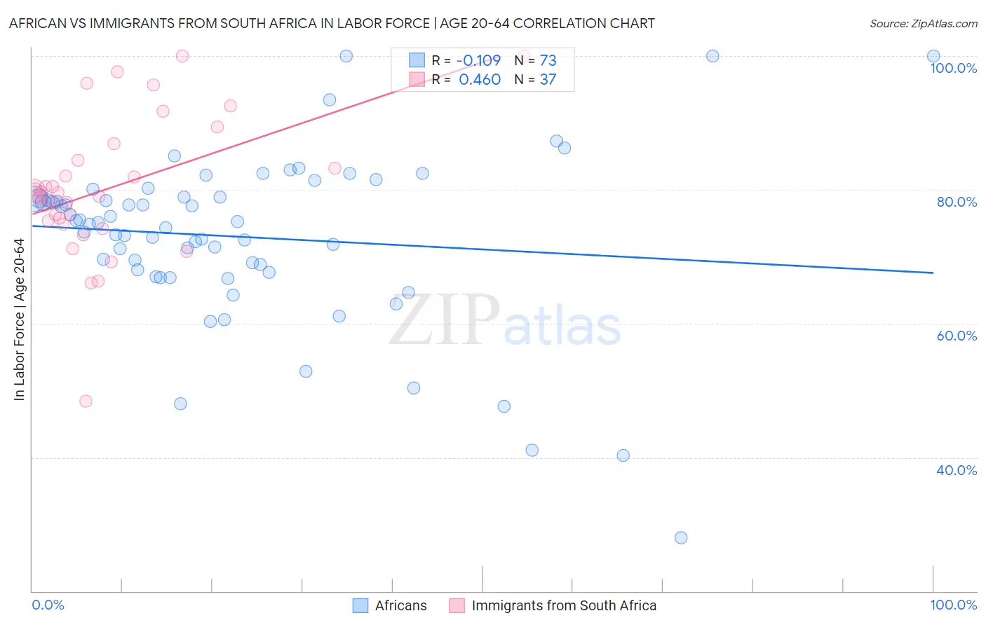 African vs Immigrants from South Africa In Labor Force | Age 20-64