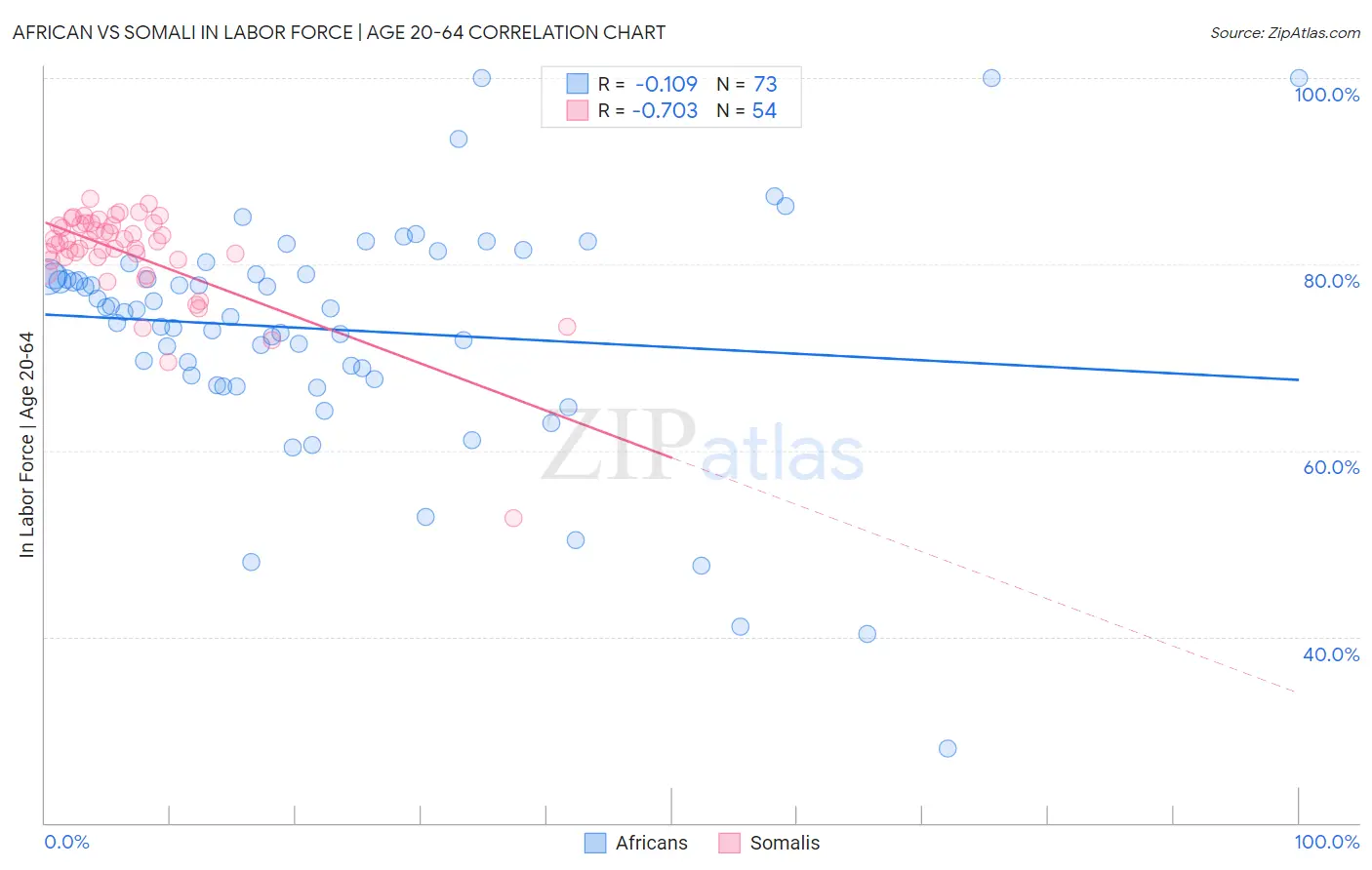 African vs Somali In Labor Force | Age 20-64