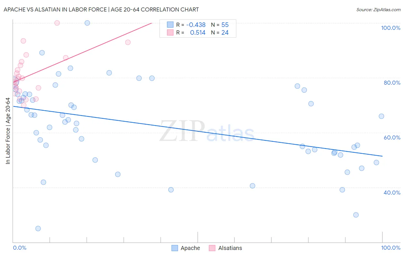 Apache vs Alsatian In Labor Force | Age 20-64