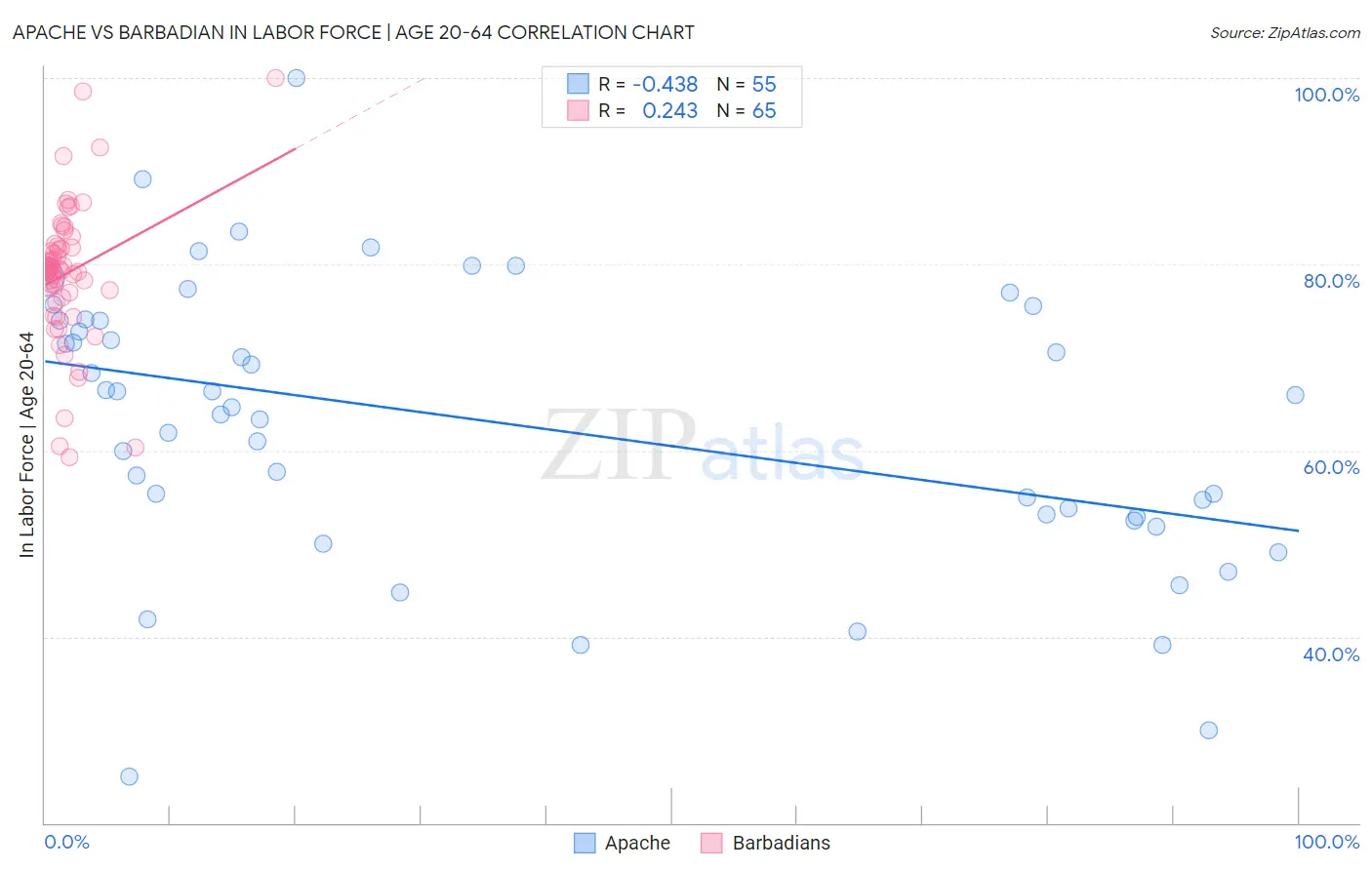 Apache vs Barbadian In Labor Force | Age 20-64