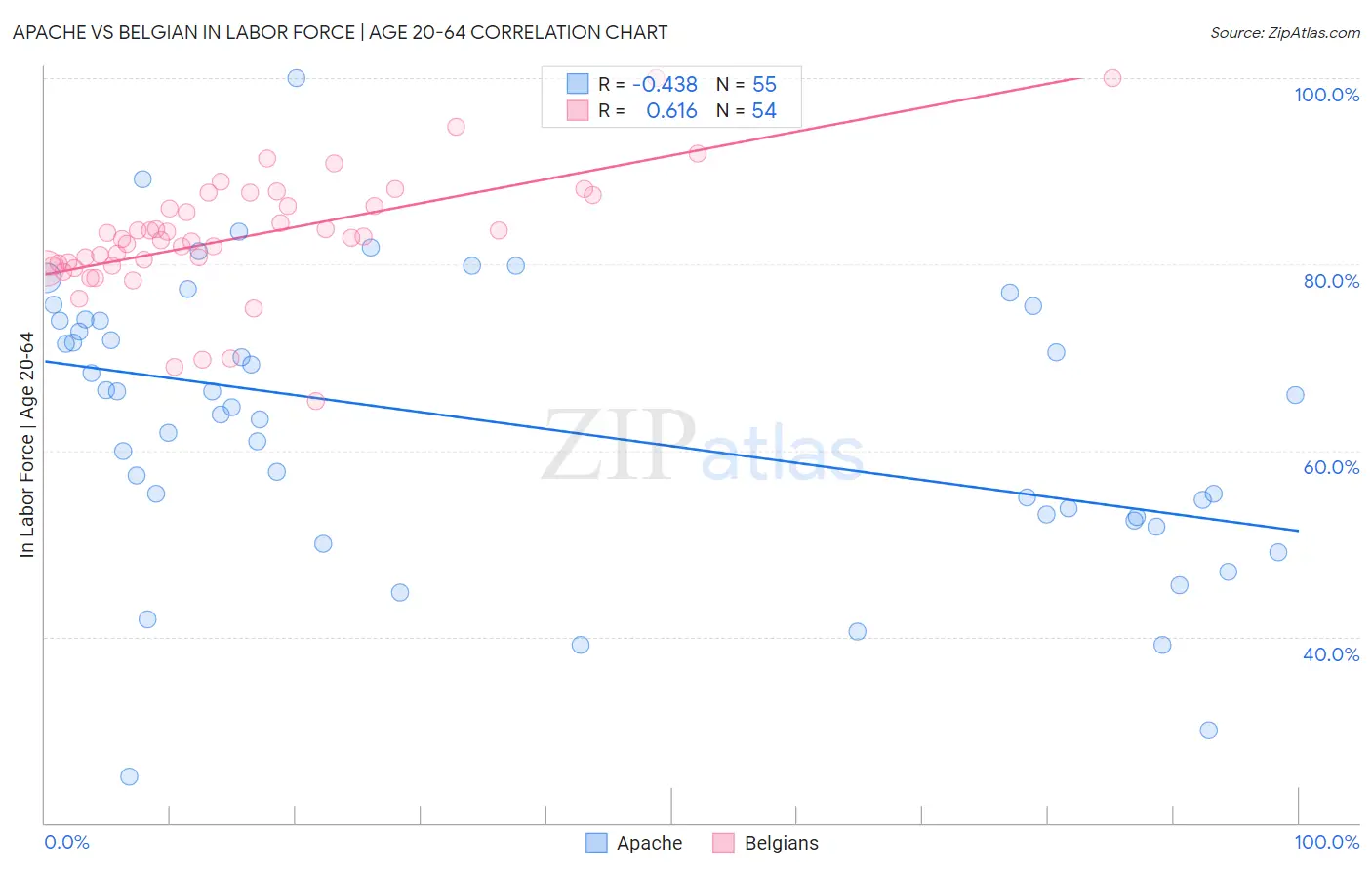Apache vs Belgian In Labor Force | Age 20-64